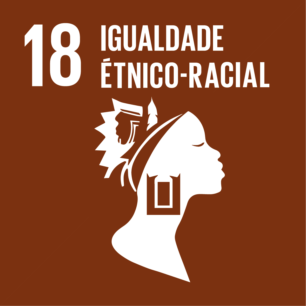ODS 18 — Brasil